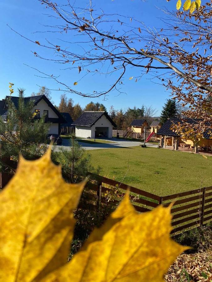 Dom Na Borowkowym Wzgorzu Lägenhet Palesnica Exteriör bild