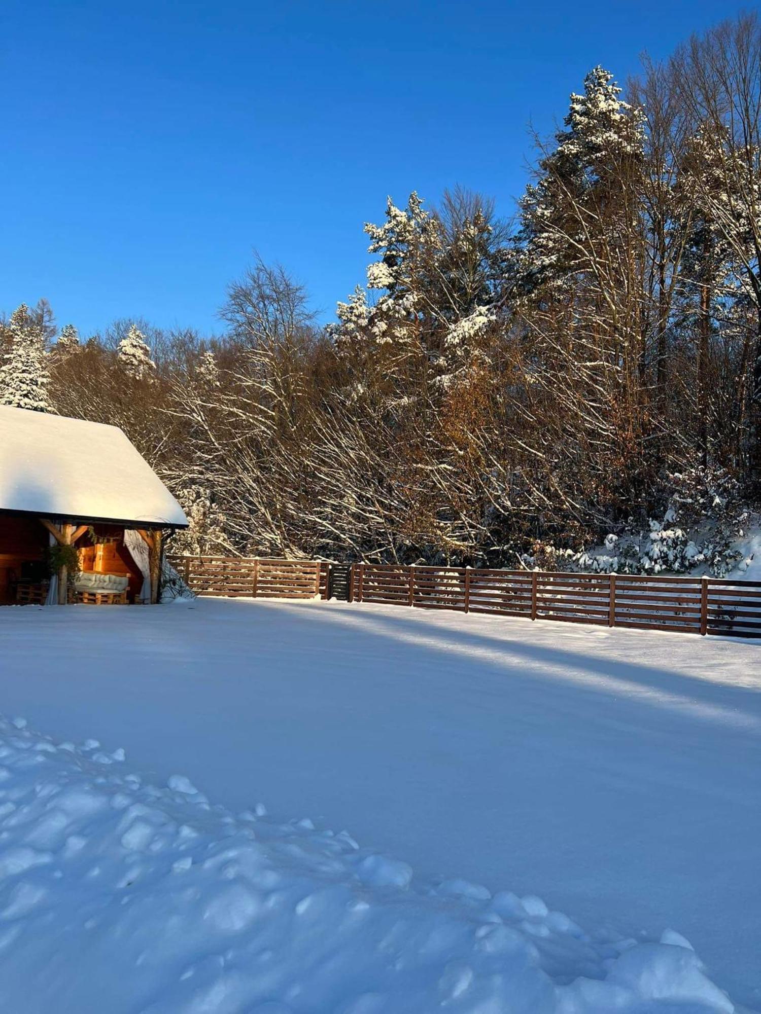 Dom Na Borowkowym Wzgorzu Lägenhet Palesnica Exteriör bild